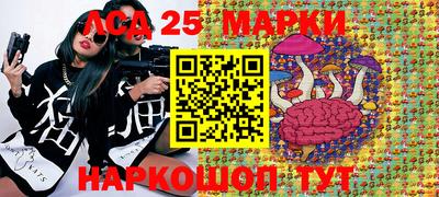 apvp Тверь