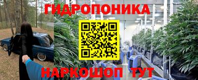 apvp Тверь